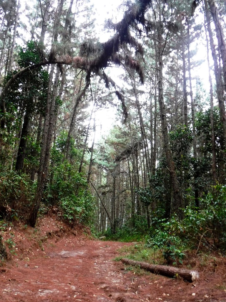 DSCF1169a.jpg