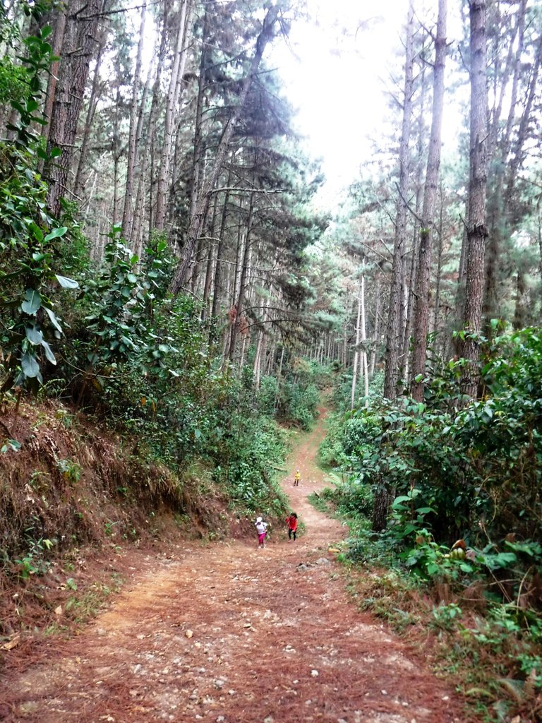 DSCF1170a.jpg