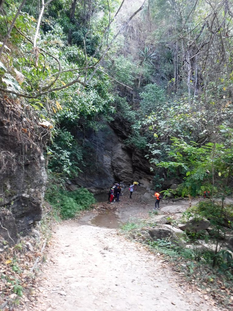 DSCF4891.jpg