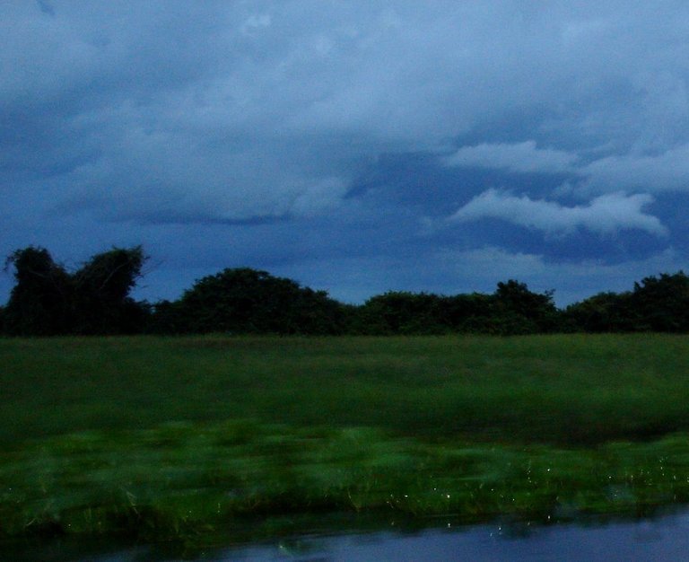 140.JPG