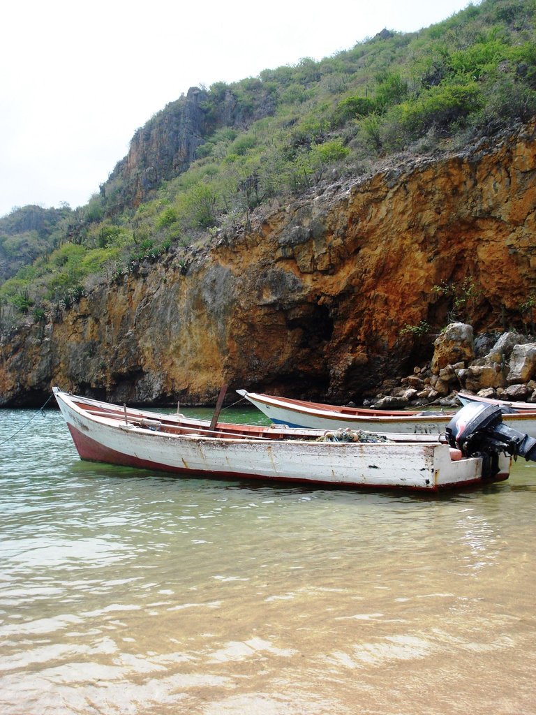 137.JPG