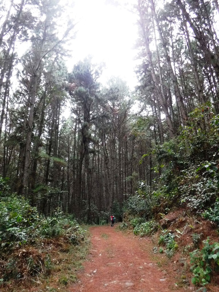 DSCF1164a.jpg