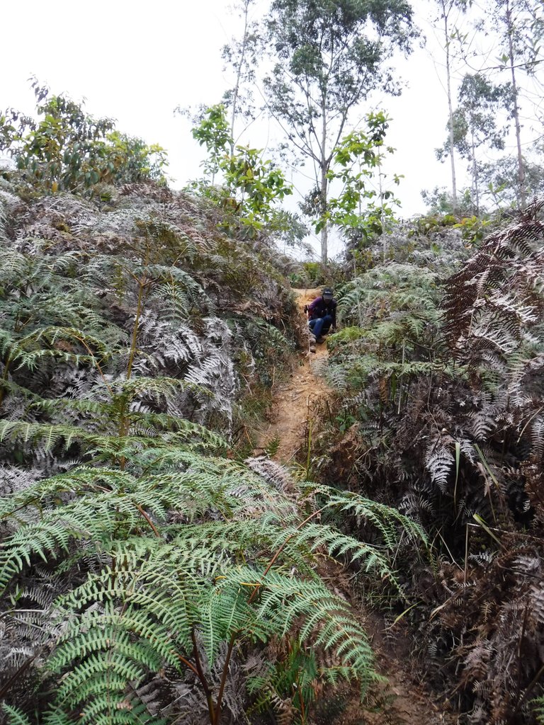 DSCF5558.jpg