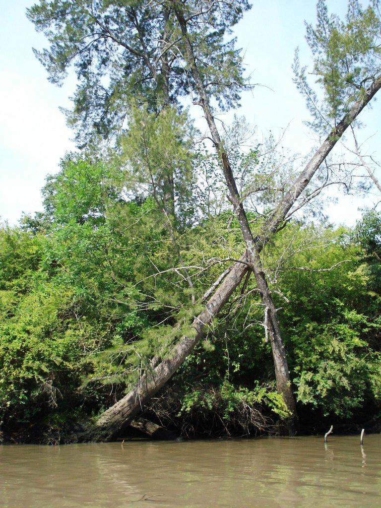 DSC09255.JPG