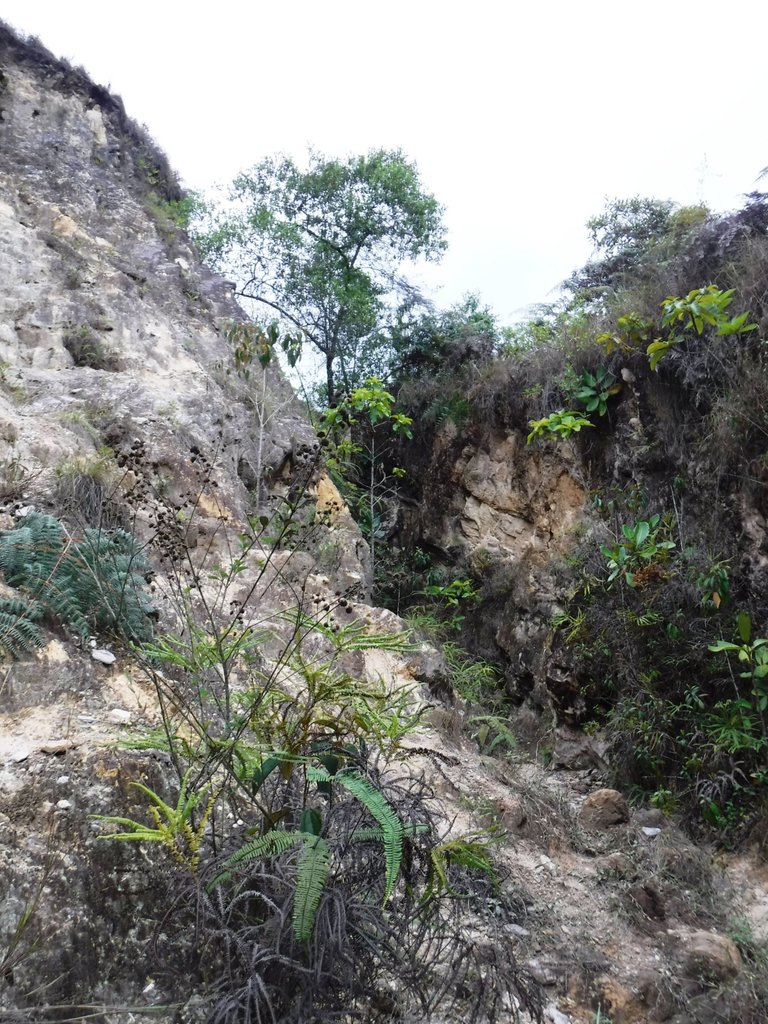 DSCF5550.jpg