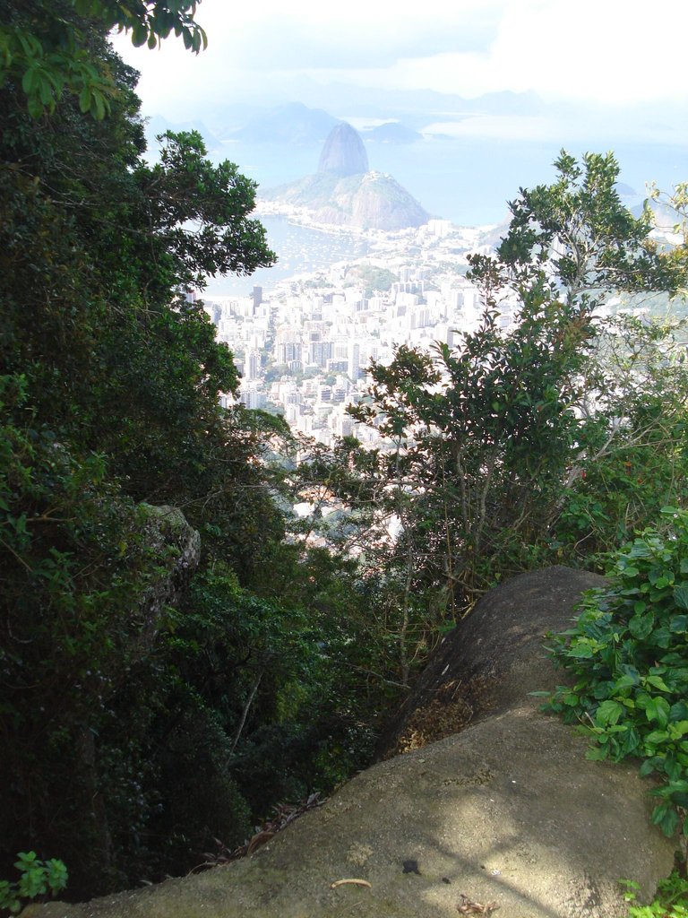 176.JPG