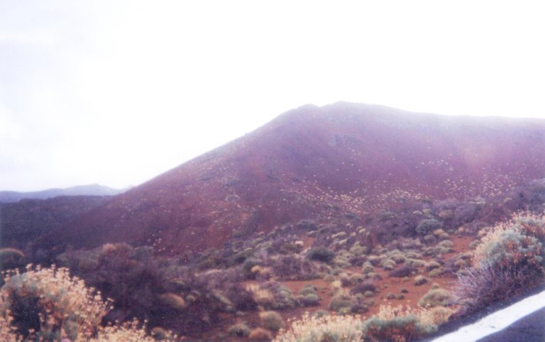 048 - Cañadas de El Teide.jpg