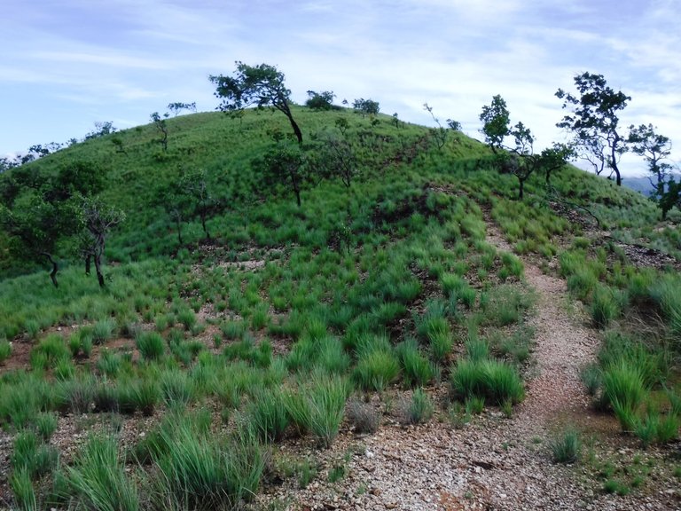DSCF5695.JPG