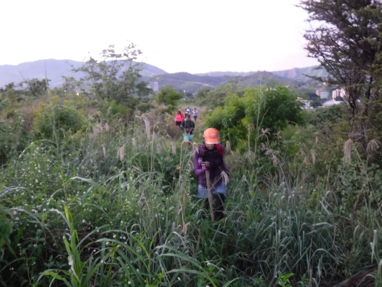 DSCF5611.JPG