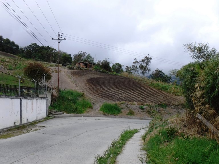 DSCF4977.JPG