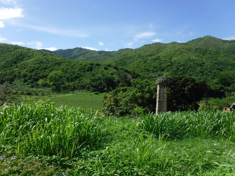 DSCF6603.JPG
