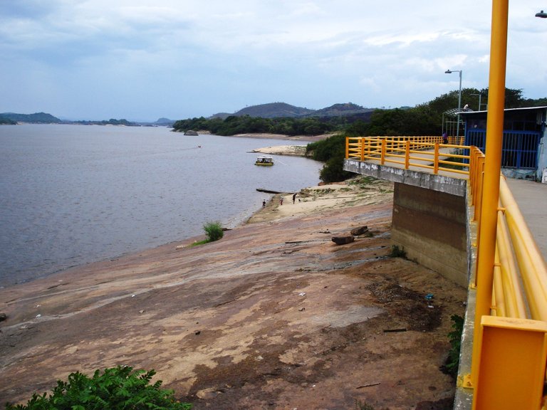 252 Amazonas - Casuarito.JPG