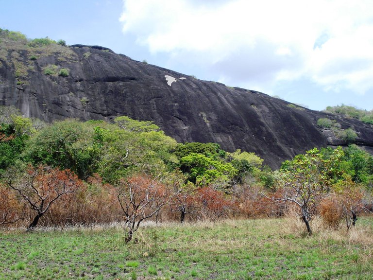 079 Monumento Natural Piedra Pintada.JPG