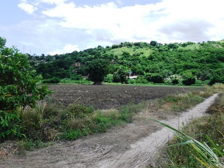 DSCF6698.JPG