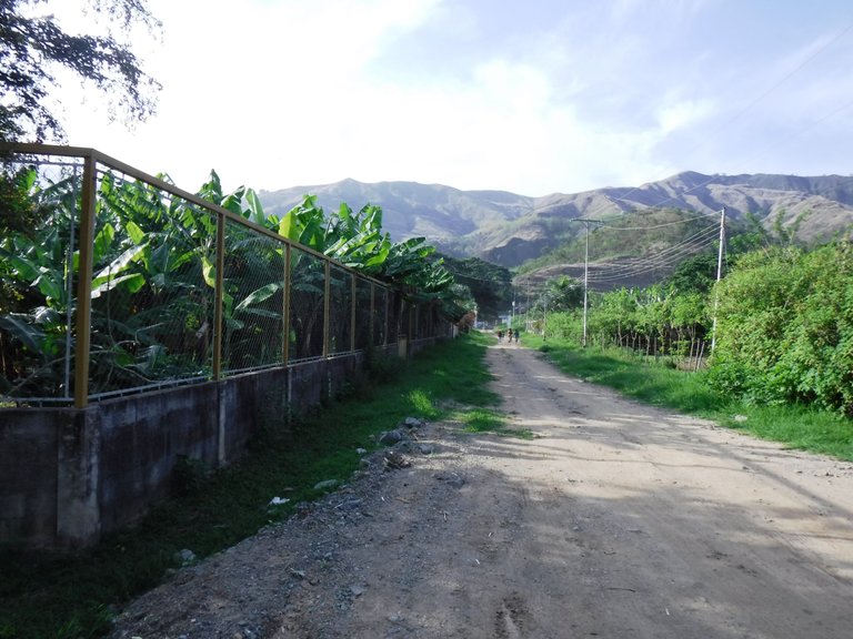 DSCF6277.JPG