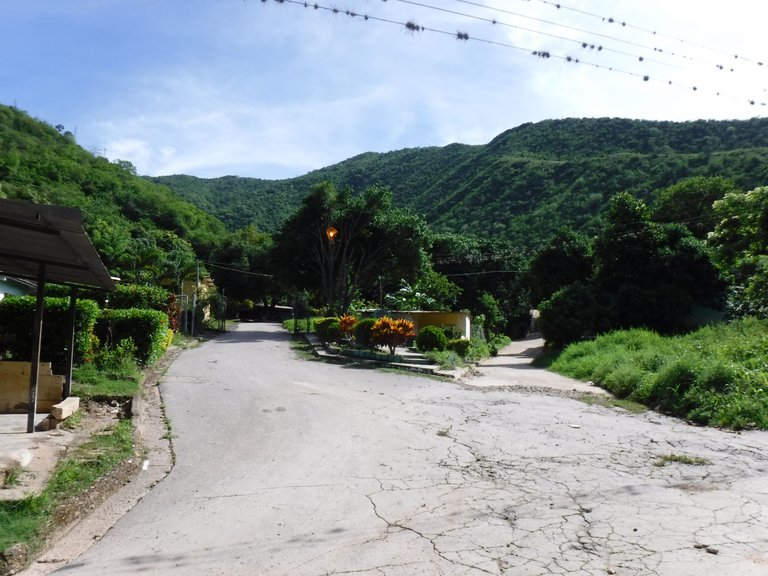 DSCF6576.JPG