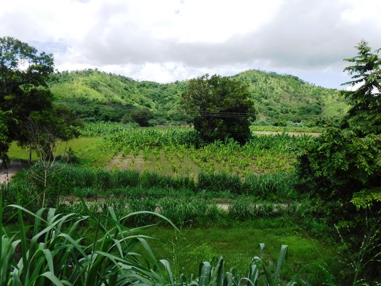 DSCF6689.JPG