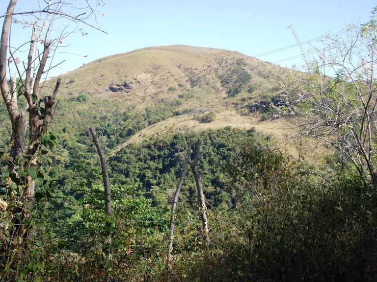 DSC05141.JPG