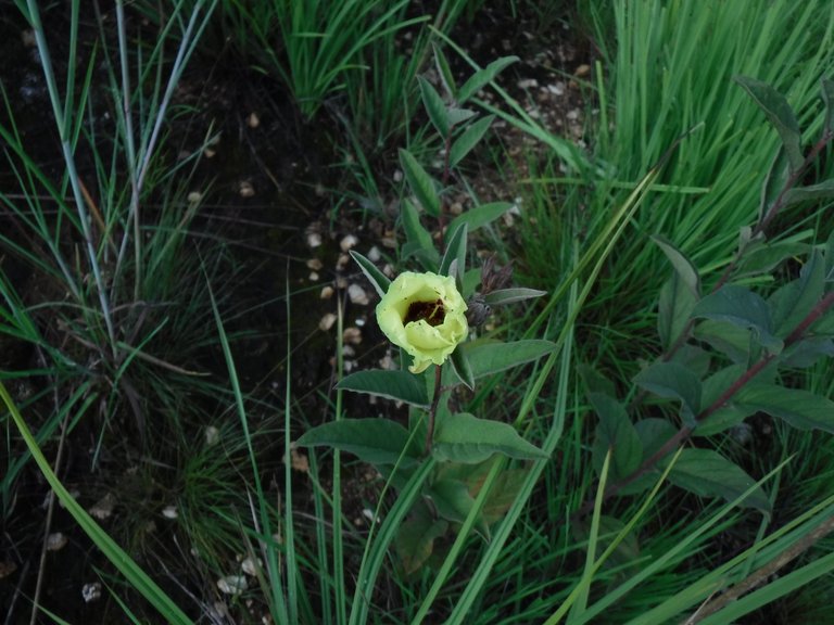 DSCF5707.JPG