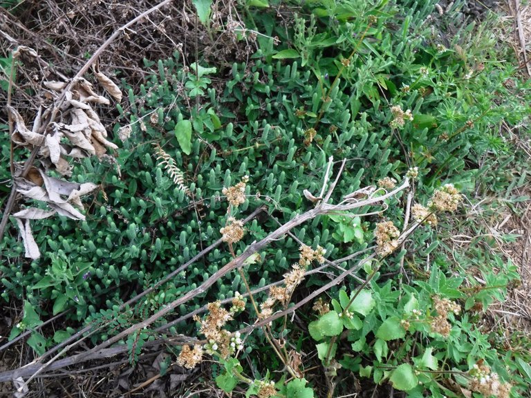 DSCF8159.JPG