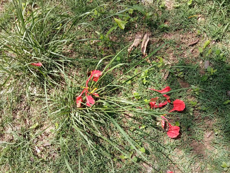 IMG_20250513_104239.jpg