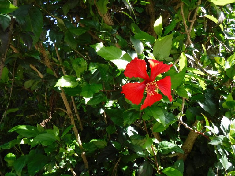 DSCF6575.JPG