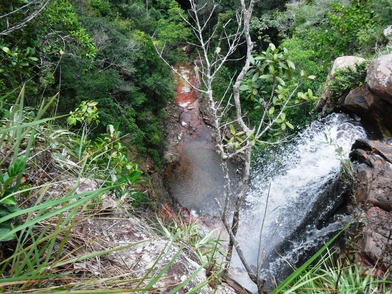 DSCF0253.JPG