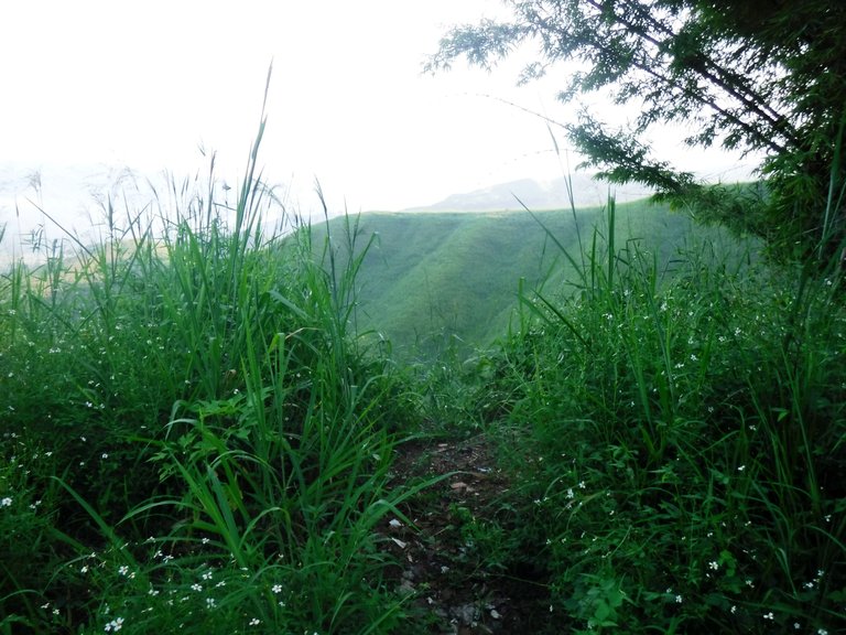 DSCF7135.JPG