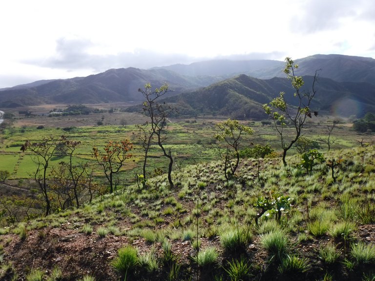 DSCF6036.JPG
