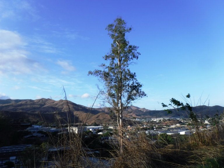 DSCF6006.JPG