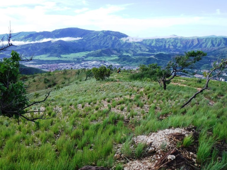 DSCF5714.JPG