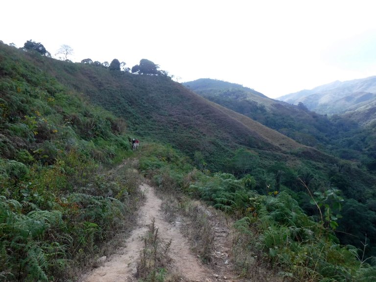 DSCF8152.JPG