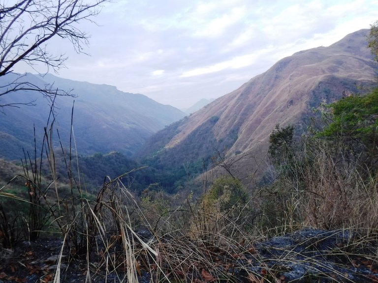 DSCF4868.JPG