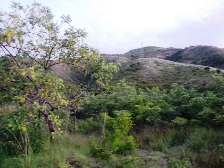 DSCF5606.JPG