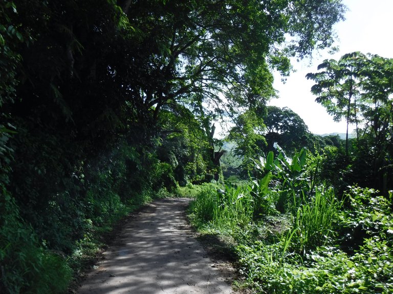 DSCF6586.JPG