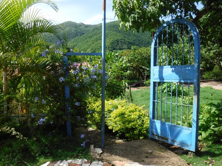DSCF6577.JPG