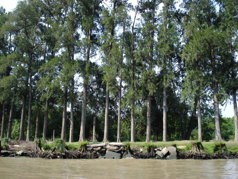 DSC09252.JPG