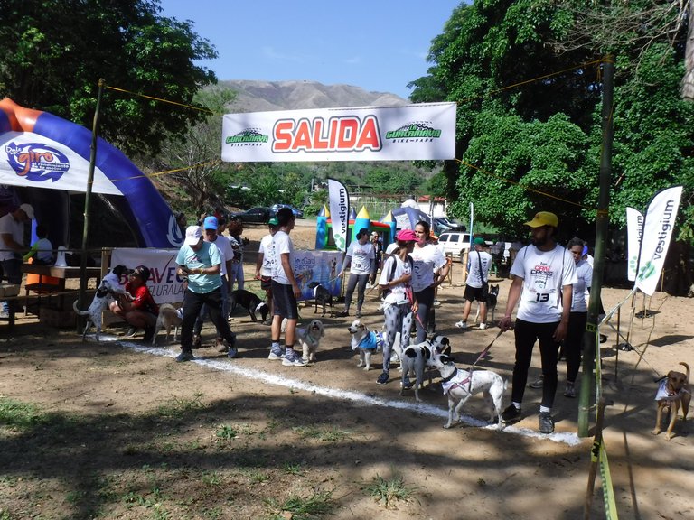DSCF6346.JPG