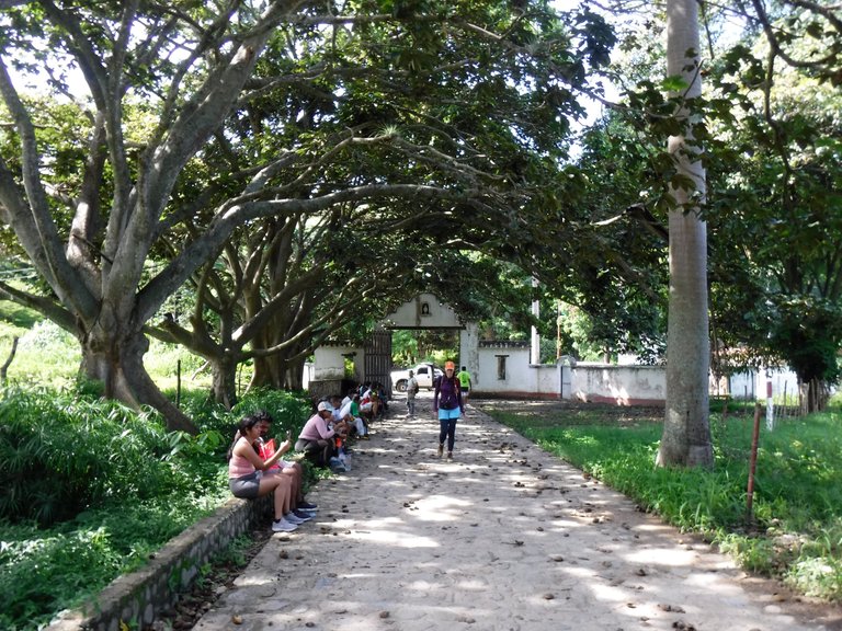 DSCF6596.JPG