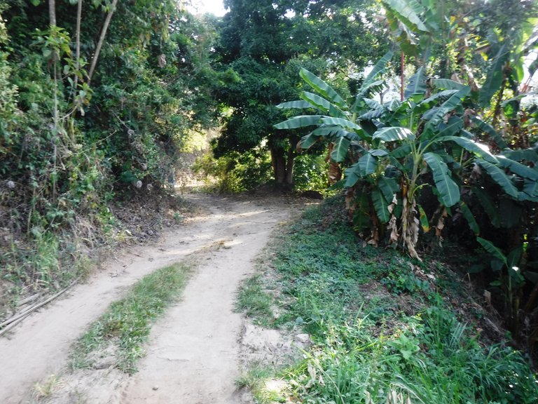 DSCF4885.JPG