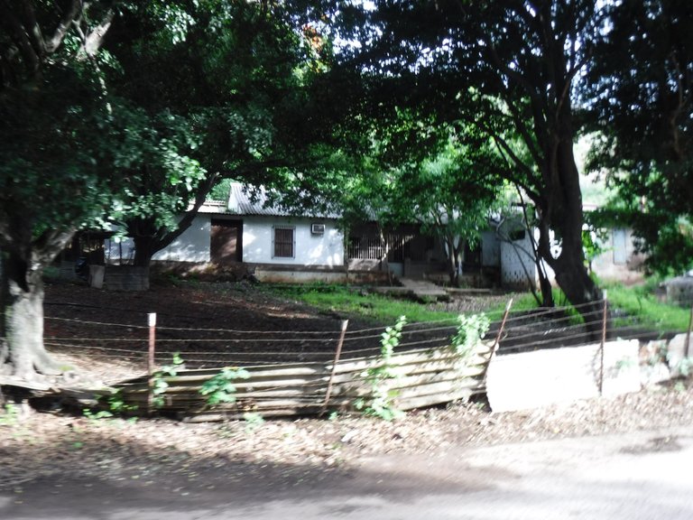 DSCF6528.JPG