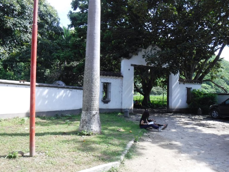DSCF6593.JPG