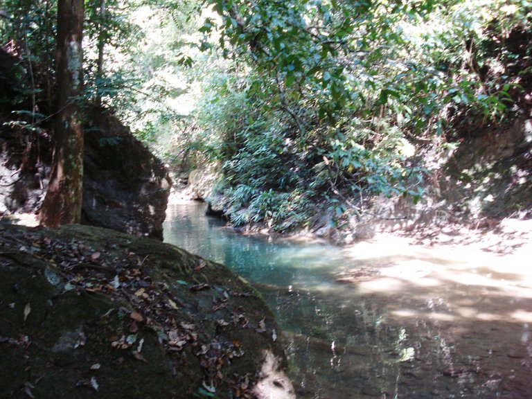 DSC05105.JPG