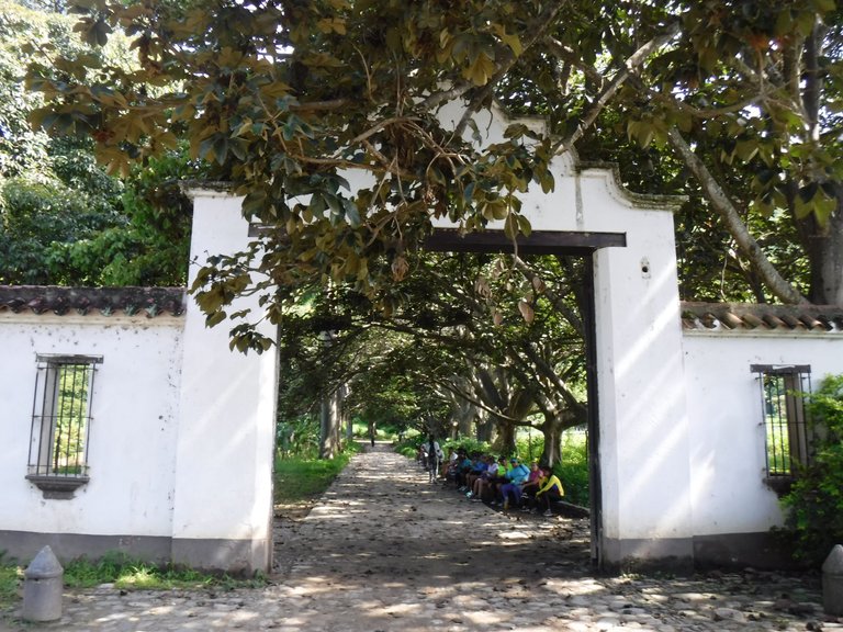 DSCF6594.JPG