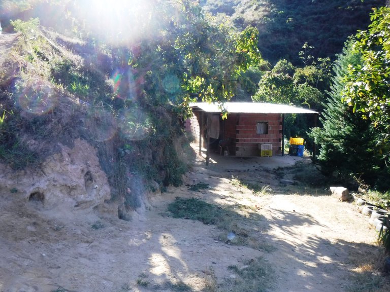 DSCF4906.JPG