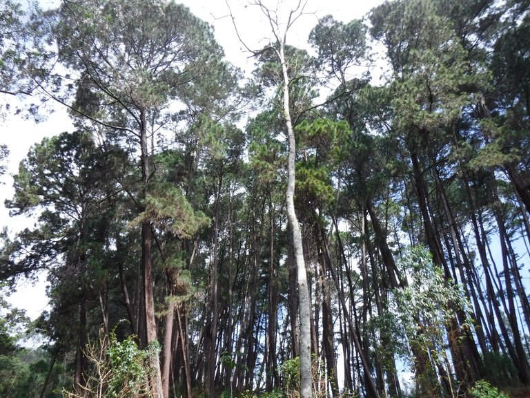 DSCF5424.JPG