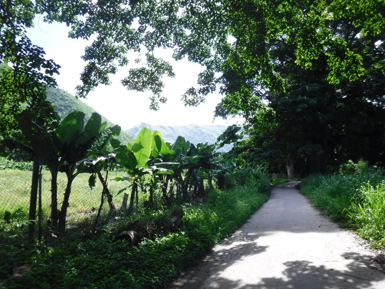 DSCF6588.JPG