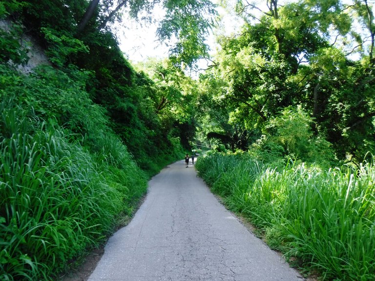 DSCF6581.JPG