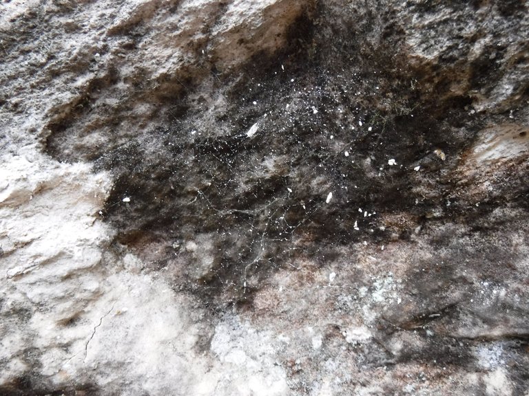 DSCF5535.JPG