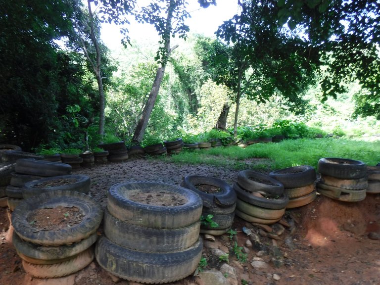 DSCF6585.JPG